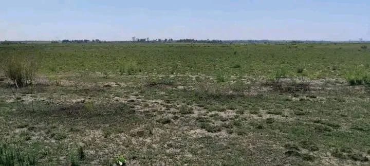 Commercial Property for Sale in Koppies Free State